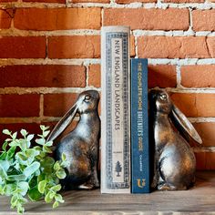 two metal rabbits sitting next to each other in front of a book shelf with books on it