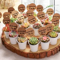 there are many succulents in small pots on the wooden stand with name tags