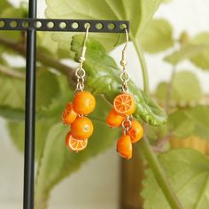 the oranges are hanging from the hooks on the plant's hook - earrings