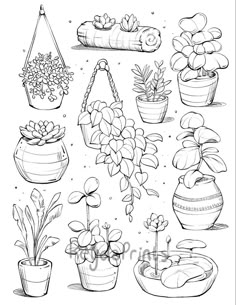 a black and white drawing of potted plants in different stages of growth, including succulents