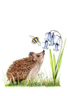 an illustration of a hedgehog smelling a flower with two bees flying above it on a white background