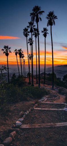 the sun is setting behind palm trees on a mountain trail with steps leading up to them