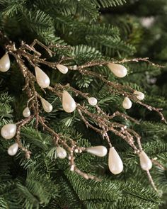 the branches of a christmas tree with white lights