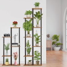 there are many potted plants on the shelves next to each other in this room