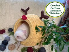 a white cat laying in a crochet hat with red berries on it's ears