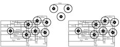 two diagrams showing the different types of eyeballs