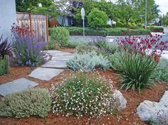 a garden with flowers and rocks in the middle