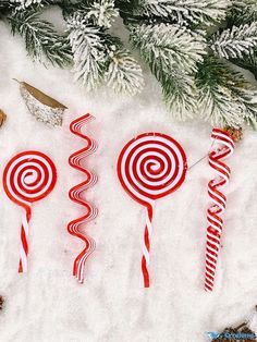 three candy lollipops sitting on top of snow next to pine cones and christmas decorations