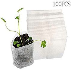 there is a plant in a plastic bag next to some napkins on the table