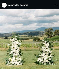 two tall white flowers sitting on top of a lush green field with mountains in the background