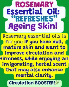 Text image with green background titled "ROSEMARY Essential Oil: 'REFRESHES' Ageing Skin!". It explains that rosemary is ideal for dull, mature skin, improving circulation and firmness while providing an invigorating scent that may enhance mental clarity. The bottom reads "Circulation BOOSTER!" with a leaf emoji. Anti Aging Routine, For Skin Tightening, Essential Oils Rosemary, Curly Hair Care, Promotes Hair Growth