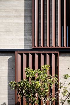 a tree in front of a building with metal slats