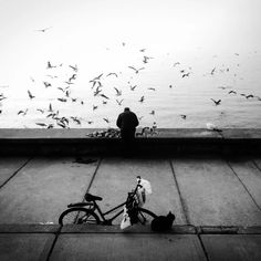 a bicycle parked next to a body of water with birds flying over it