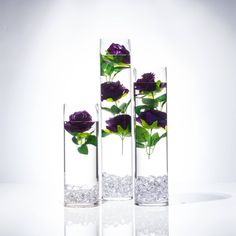 three clear vases with purple flowers in them on a white surface, one is filled with water and the other has ice