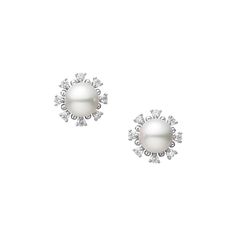 Mikimoto White Gold Diamond and Akoya Pearl Stud Earrings Mikimoto Pearl Earrings, Mikimoto Jewelry, Akoya Pearl Earrings, Diamond Cluster Earrings, Mikimoto Pearls, Pearl And Diamond Earrings, Akoya Pearls, Pearl Diamond, Cluster Earrings