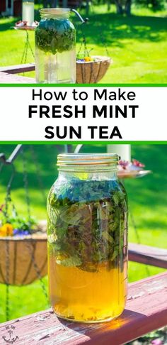 two mason jars filled with fresh mint sun tea sitting on top of a wooden table