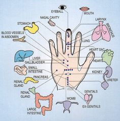 Reflexology Pressure Points, Foot Detox Soak, Reflexology Points, Massage Therapy Techniques, Pressure Point