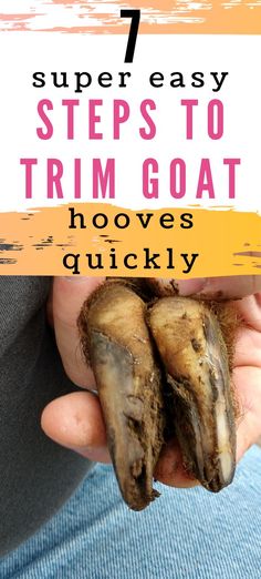 a person holding an animal in their hands with the words 7 super easy steps to trim goat hooves quickly