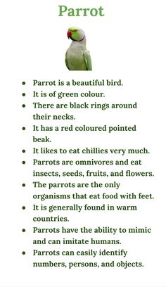 a poem with an image of a parrot on it's back and the words parrot in