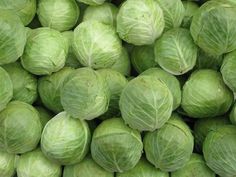 many heads of cabbage are piled up together