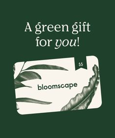 a green gift card with the words give a gift that grows