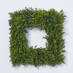 a square shaped boxwood plant on a white background with the letter e in it's center