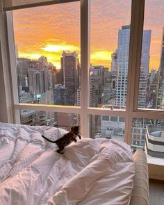 a cat sitting on top of a bed in front of a window overlooking a city