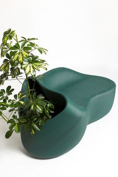 a potted plant sitting on top of a green chair