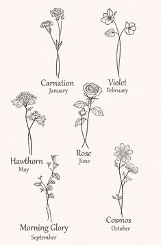 four different types of flowers are shown in black and white, with the names of each flower