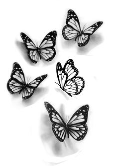 six black and white butterflies on a white background