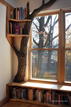 a window with bookshelves next to a tree