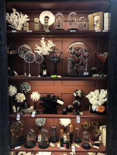 a display case filled with lots of different types of items on top of wooden shelves