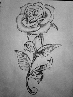 a pencil drawing of a rose with leaves