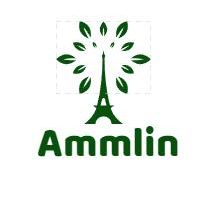 ammlin_service