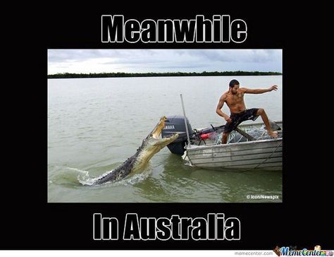 Australia Animals Scary, Aussie Memes, Australian Memes, Meanwhile In Australia, Australia Funny, Writing Prompts Funny, Fishing Photos, Animal Attack, Picture Writing Prompts