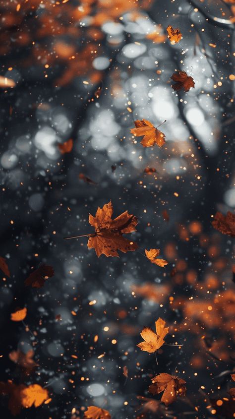 40+ Stunning And Dreamy Fall Phone Wallpapers Witchy Autumn Aesthetic Wallpaper, Fall Photo Wallpaper, Moody Fall Phone Wallpaper, Fall Cottagecore Aesthetic Wallpaper, Halloween Season Wallpaper, Dark Fall Phone Wallpaper, Fall Wallpaper Samsung Galaxy, Iphone Autumn Aesthetic, Fall And Winter Wallpaper