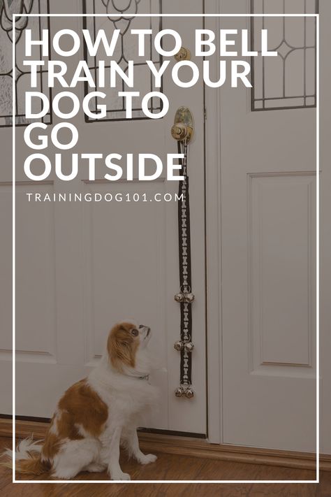 Bell For Dogs To Go Outside, How To Bell Train Your Dog To Go Outside, House Breaking A Puppy Potty Training, Potty Bell For Dogs, Dog Potty Training Tips, Potty Training A Puppy, Potty Training Puppy With Bell, Housebreaking A Puppy, How To Potty Train A Puppy Go Outside