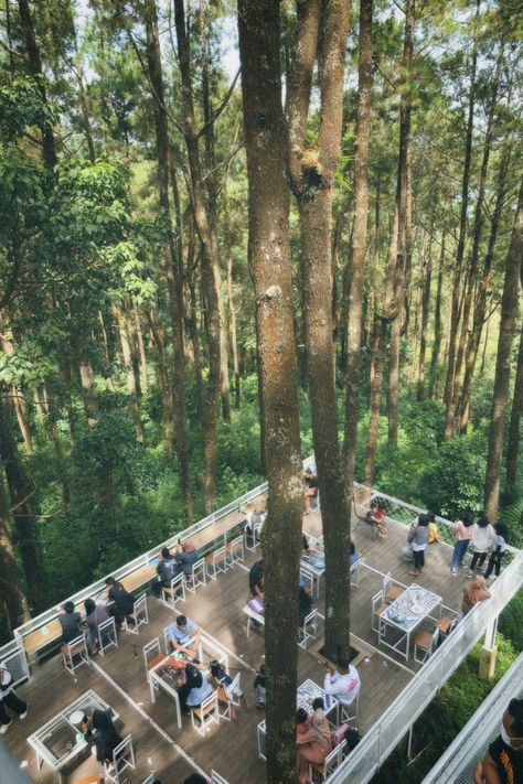 Forest Resort Design, Village Restaurant Design, Cafe In Forest, Open Cafe Outdoor Design, Tree House Cafe, Forest Restaurant, Small Backyard Decks, Forest Cafe, Outdoor Restaurant Design