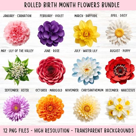 May Month Flower, Birth Month Flower Bouquet, Flower Bouquet Png, Month Gemstones, Diy Fleur, Different Types Of Flowers, Floral Png, Flower Meanings, Birth Month Flower