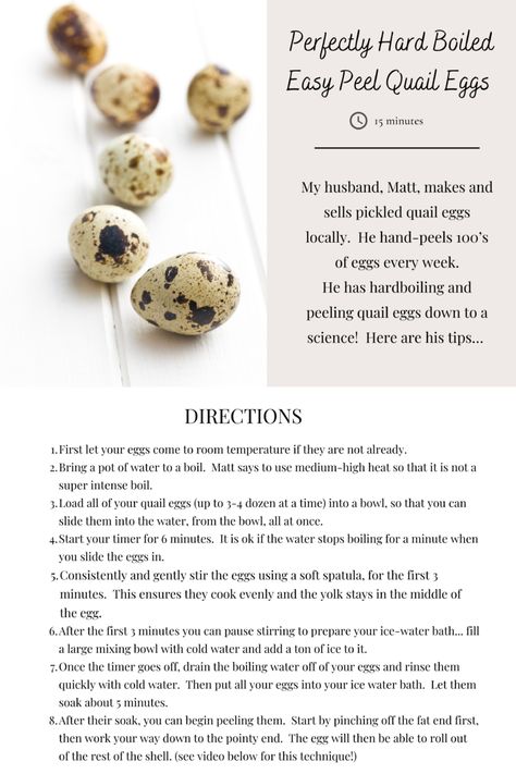 Quail Egg Benefits, Marinated Quail Eggs, Pickles Quail Eggs, Raising Quails For Eggs, Quail Photos, Pickled Quail Eggs Recipe, Quail Eggs Benefits, Cooking Quail, Quail Egg Recipes