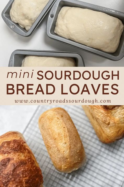 Mini Sourdough Bread Loaves Sourdough Bread Loaves, Mini Artisan Bread Loaves, Holiday Breads Mini Loaves, Double Batch Sourdough Bread, Easy Small Loaf Bread Recipes, Small Loaves Of Bread For Gifts, Christmas Bread Gifts, Mini Bread Loaves Recipes Savory, Unfed Sourdough Bread