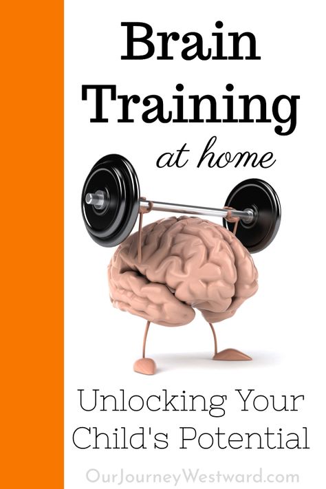 Brain Training: FUN Ways to Build Stronger and Faster Brains Auditory Processing Activities, Brain Based Learning, Visual Processing, Brain Surgeon, Training Activities, Dog Behavior Problems, Brain Training Games, Brain Gym, Physical Education Games