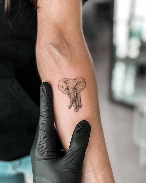 Elephant small tattoo Elephant Tattoo Back Of Arm, Elephant Tattoo On Forearm, Cool Elephant Tattoo, Micro Elephant Tattoo, Mini Tattoos Elephant, Elephant Tattoos Forearm, Elephant Tattoos Arm, Elephant Arm Tattoo, Mini Realistic Tattoo