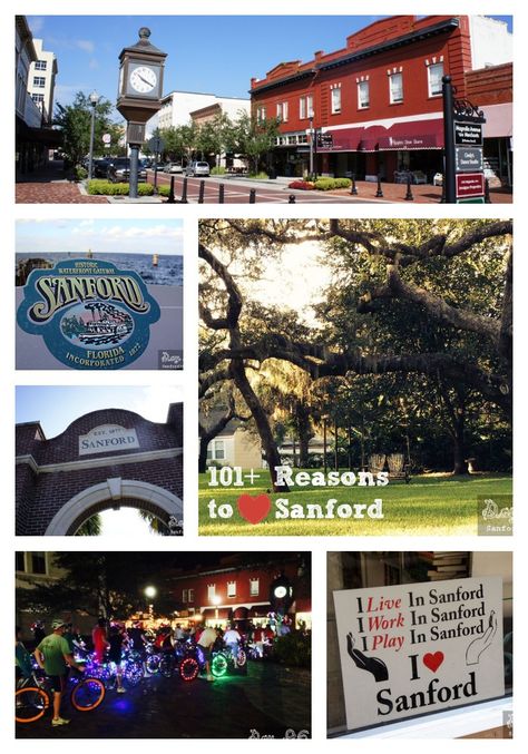 Top Reasons to Love Sanford FL Men With Beards, Sanford Florida, Man With A Beard, Small Towns Usa, Florida Adventures, Places In Florida, Orlando Travel, Moving To Florida, Vacation Planning