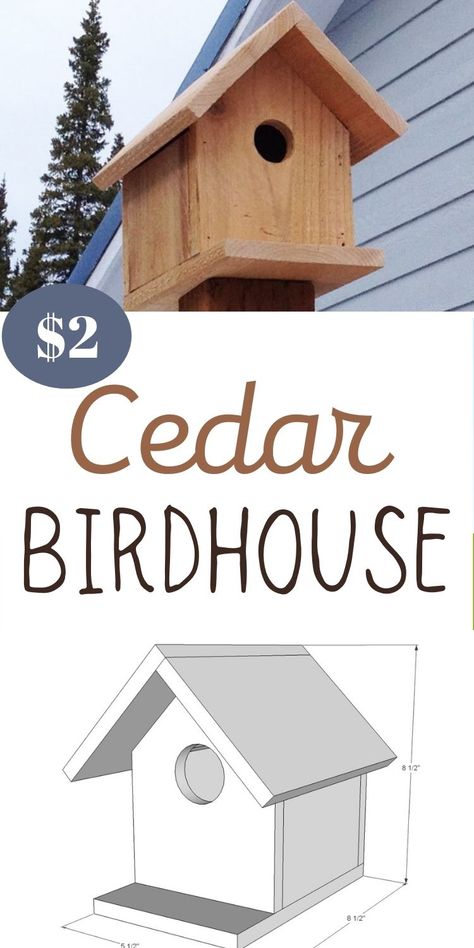 Birdhouse Plans, Bird House Plans Free, Diy Birdhouse, Cedar Fence Pickets, Birdhouse Projects, Modern Birdhouses, Fence Picket, Retail Ideas, Homemade Bird Houses