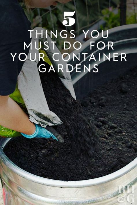 Container gardening is easier than you think. For the best plants possible, all it takes is a little maintenance and extra care to get there. Check out these five basic steps on container gardening to help your gardens last all season. #gardening #gardenideas #containergardening #containergardeningtips #bhg Garden Container Ideas Vegetable, Container Front Garden, Container Gardening On Deck, Container Gardening Landscape Front Yards, Plants For Container Gardening, Large Container Garden Ideas, Planting In Containers Outdoor, Container Garden Set Up, Gardening Planters Ideas