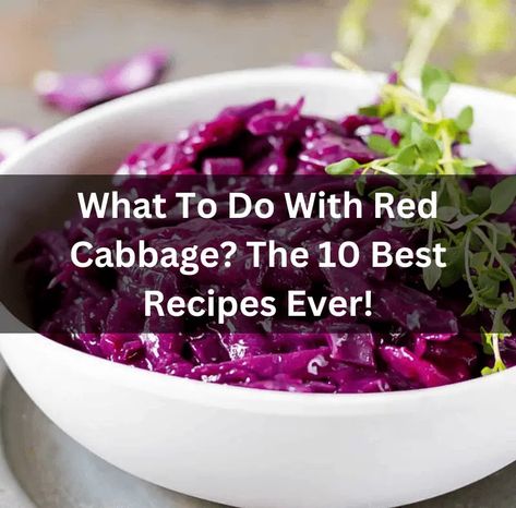 What to do with red cabbage? The 10 best recipes ever! Canning Sweet And Sour Red Cabbage, How To Use Red Cabbage, Red Cabbage Cooked Recipes, Red And Green Cabbage Salad, Canned Red Cabbage Recipes, Recipes With Red Cabbage Meals, Red Cabbage Meals, Meals With Red Cabbage, Fried Red Cabbage Recipes