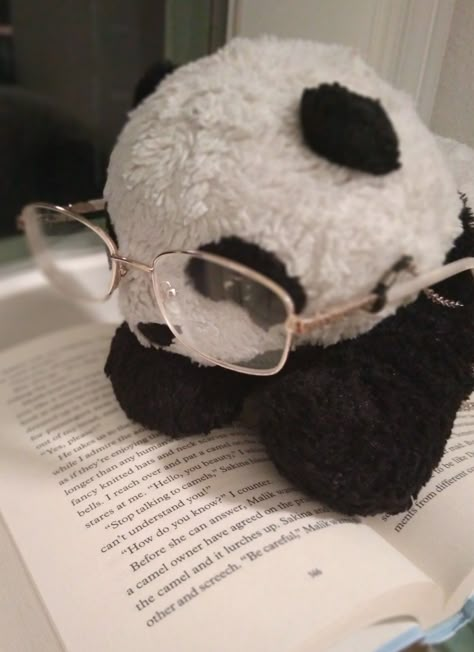 Photography Panda Plushie Aesthetic, Panda Pfp Aesthetic, Cute Panda Pfp, Panda With Glasses, Panda Pfp, Panda Aesthetic, Panda Plushie, Panda Plush, Adopt Idea