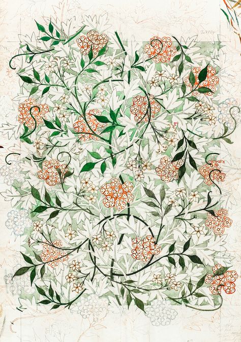 Jasmine by William Morris. Original from The Birmingham Museum. Digitally enhanced by rawpixel. | free image by rawpixel.com William Morris Jasmine, William Morris Drawing, William Morris Flowers, William Morris Free Printable, Morris Pattern, William Morris Prints, Fifty Flowers, William Morris Poster, William Morris Patterns