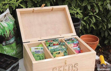 How to build a seed storage box Seed Box Storage, Vegetable Seeds Packets, Wood Burning Pen, Seed Storage, Seasons Months, Seed Box, Herb Gardening, Wood Burning Kits, Garden Life